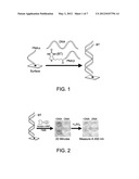 Cross-Coupled Peptide Nucleic Acids for Detection of Nucleic Acids of     Pathogens diagram and image