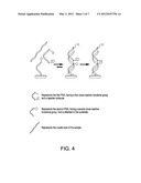 Cross-Coupled Peptide Nucleic Acids for Detection of Nucleic Acids of     Pathogens diagram and image