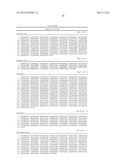 METHOD FOR SEQUENCING A HETEROPOLYMERIC TARGET NUCLEIC ACID SEQUENCE diagram and image