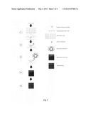 High throughput detection of gene-specific hydroxymethylation diagram and image