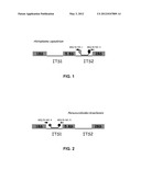 METHOD FOR SIMULTANEOUSLY DETECTING HISTOPLASMA CAPSULATUM AND     PARACOCCIDIOIDES BRASILIENSIS diagram and image