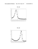 Polymorphism Detection Probe, Polymorphism Detection Method, Evaluation of     Drug Efficacy, and Polymorphism Detection Kit diagram and image