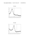 Polymorphism Detection Probe, Polymorphism Detection Method, Evaluation of     Drug Efficacy, and Polymorphism Detection Kit diagram and image