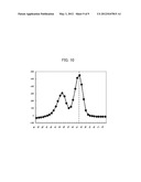 Polymorphism Detection Probe, Polymorphism Detection Method, Evaluation of     Drug Efficacy, and Polymorphism Detection Kit diagram and image