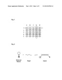 DETECTION OF MULTIPLE NUCLEIC ACID SEQUENCES IN A REACTION CARTRIDGE diagram and image