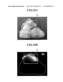 METHOD FOR DETECTING AFFERENT LYMPH VESSEL INFLOW REGIONS AND METHOD FOR     IDENTIFYING SPECIFIC CELLS diagram and image