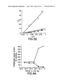Antibody specific for a mammalian sphingosine kinase type 2 isoform     protein and methods of use thereof diagram and image