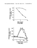 Antibody specific for a mammalian sphingosine kinase type 2 isoform     protein and methods of use thereof diagram and image