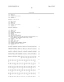 Antibody specific for a mammalian sphingosine kinase type 2 isoform     protein and methods of use thereof diagram and image