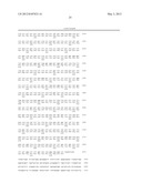 Antibody specific for a mammalian sphingosine kinase type 2 isoform     protein and methods of use thereof diagram and image