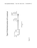 METHOD OF PRODUCING HUMAN IGG ANTIBODIES WITH ENHANCED EFFECTOR FUNCTIONS diagram and image