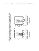 METHOD OF PRODUCING HUMAN IGG ANTIBODIES WITH ENHANCED EFFECTOR FUNCTIONS diagram and image