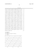 COMPOSITIONS AND METHODS FOR PRODUCTION OF FERMENTABLE SUGARS diagram and image