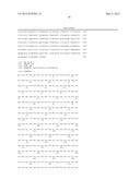 COMPOSITIONS AND METHODS FOR PRODUCTION OF FERMENTABLE SUGARS diagram and image