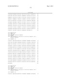 Variable Lymphocyte Receptors, Related Polypeptides and Nucleic Acids, and     Uses Thereof diagram and image