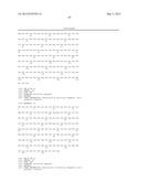 Variable Lymphocyte Receptors, Related Polypeptides and Nucleic Acids, and     Uses Thereof diagram and image