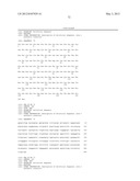 Variable Lymphocyte Receptors, Related Polypeptides and Nucleic Acids, and     Uses Thereof diagram and image