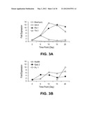 DIFFERENTIATION OF PRIMATE PLURIPOTENT STEM CELLS TO HEMATOPOIETIC LINEAGE     CELLS diagram and image