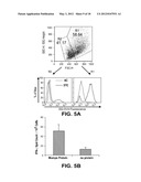 DIFFERENTIATION OF PRIMATE PLURIPOTENT STEM CELLS TO HEMATOPOIETIC LINEAGE     CELLS diagram and image