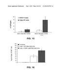 DIFFERENTIATION OF PRIMATE PLURIPOTENT STEM CELLS TO HEMATOPOIETIC LINEAGE     CELLS diagram and image