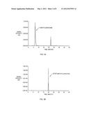 METABOLITE BIOMARKERS FOR THE DETECTION OF ESOPHAGEAL CANCER USING MS diagram and image