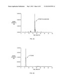 METABOLITE BIOMARKERS FOR THE DETECTION OF ESOPHAGEAL CANCER USING MS diagram and image