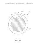 BONE SCREW AND METHOD FOR MANUFACTURING THE SAME diagram and image