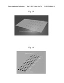 HIGH-THROUGHPUT SLIDE PROCESSING APPARATUS diagram and image