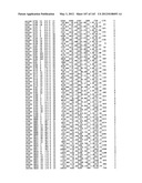 Polypeptide Fragments Comprising Endonuclease Activity and Their Use diagram and image