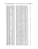 Polypeptide Fragments Comprising Endonuclease Activity and Their Use diagram and image