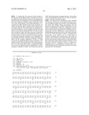 Polypeptide Fragments Comprising Endonuclease Activity and Their Use diagram and image