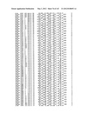 Polypeptide Fragments Comprising Endonuclease Activity and Their Use diagram and image