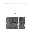 LEPTIN AGONIST AND METHODS OF USE diagram and image