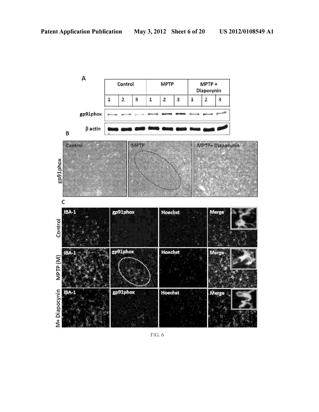 NEUROPROTECTIVE COMPOUNDS AND THEIR USE - diagram, schematic, and image 07