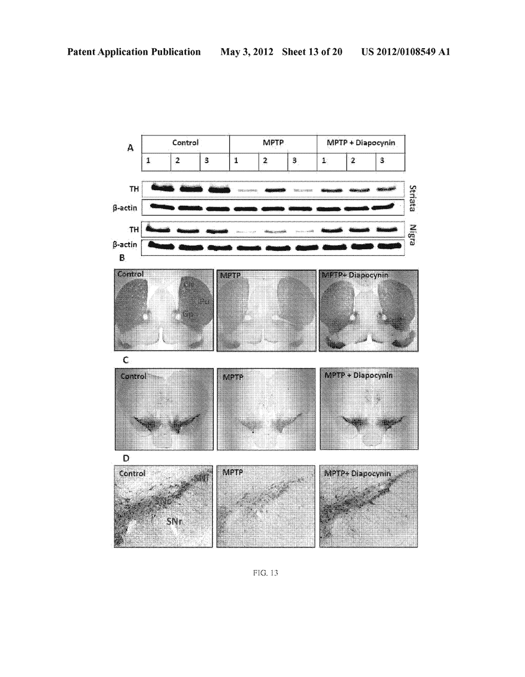 NEUROPROTECTIVE COMPOUNDS AND THEIR USE - diagram, schematic, and image 14