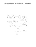 OPHTHALMIC COMPOSITIONS diagram and image