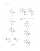2H OR 3H-BENZO[E]INDAZOL-1-YL CARBAMATE DERIVATIVES, THE PREPARATION AND     THERAPEUTIC USE THEREOF diagram and image