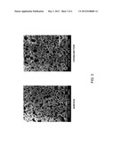 PROCESS FOR FORMING A POROUS PVA SCAFFOLD USING A PORE-FORMING AGENT diagram and image