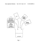 Novel Chemistries, Solutions, and Dispersal Systems for Decontamination of     Chemical and Biological Systems diagram and image