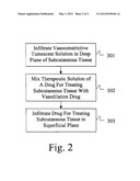 DRUG DELIVERY SYSTEM FOR ACCELERATED SUBCUTANEOUS ABSORPTION diagram and image