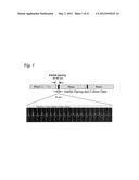 SYSTEM AND APPARATUS TO MONITOR BIOPACEMAKER MATURATION diagram and image