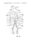 Enhancement of Biological Functioning by the use of Electromagnetic and     Magnetic Fields diagram and image