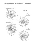 Enhancement of Biological Functioning by the use of Electromagnetic and     Magnetic Fields diagram and image