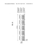 DIGITAL BROADCASTING SYSTEM AND METHOD OF PROCESSING DATA IN DIGITAL     BROADCASTING SYSTEM diagram and image