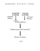 LysM Receptor-Like Kinases To Improve Plant Defense Response Against     Fungal Pathogens diagram and image