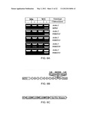 LysM Receptor-Like Kinases To Improve Plant Defense Response Against     Fungal Pathogens diagram and image