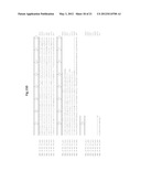 PLANTS WITH ALTERED ROOT ARCHITECTURE, RELATED CONSTRUCTS AND METHODS     INVOLVING GENES ENCODING LEUCINE RICH REPEAT KINASE (LLRK) POLYPEPTIDES     AND HOMOLOGS THEREOF diagram and image