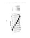 PLANTS WITH ALTERED ROOT ARCHITECTURE, RELATED CONSTRUCTS AND METHODS     INVOLVING GENES ENCODING LEUCINE RICH REPEAT KINASE (LLRK) POLYPEPTIDES     AND HOMOLOGS THEREOF diagram and image