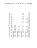 PLANTS WITH ALTERED ROOT ARCHITECTURE, RELATED CONSTRUCTS AND METHODS     INVOLVING GENES ENCODING LEUCINE RICH REPEAT KINASE (LLRK) POLYPEPTIDES     AND HOMOLOGS THEREOF diagram and image