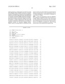 PLANTS WITH ALTERED ROOT ARCHITECTURE, RELATED CONSTRUCTS AND METHODS     INVOLVING GENES ENCODING LEUCINE RICH REPEAT KINASE (LLRK) POLYPEPTIDES     AND HOMOLOGS THEREOF diagram and image